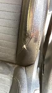 Volkswagen Passat B8 2.0 TDi